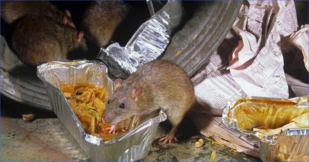 Без имени.jpg Без имени.jpg